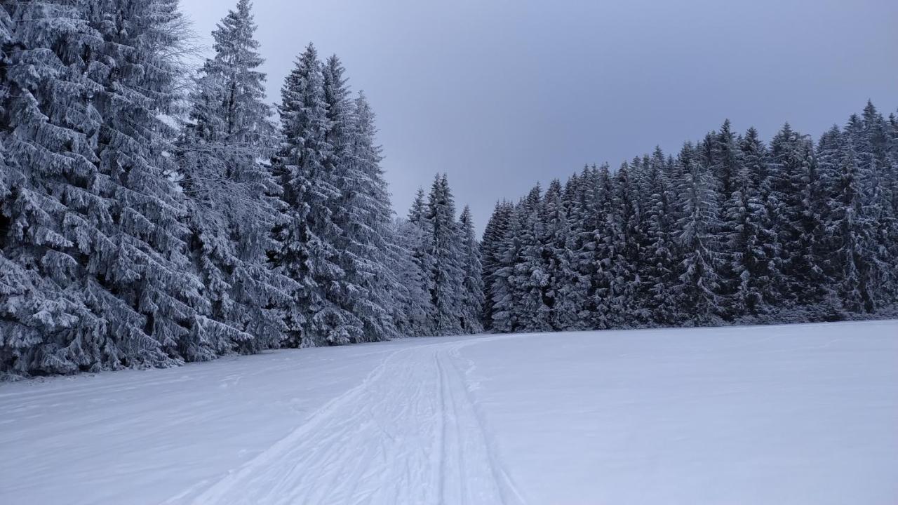 Penzion Zvon Horní Stropnice Exteriér fotografie